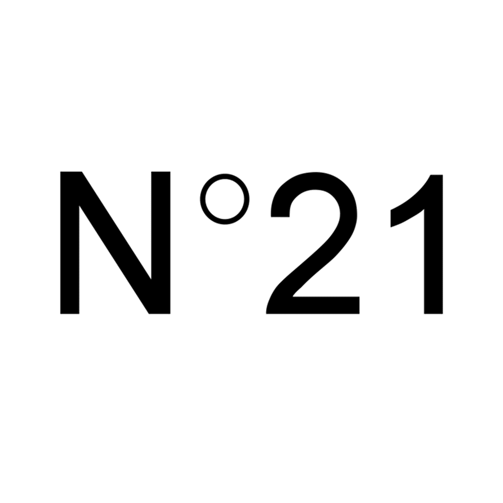 N21 Logo